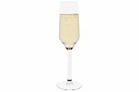 Champagneglas, 220ml, glas, GRACE, COSY MOMENTS, (18 stk.)