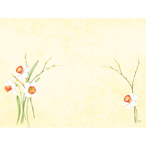 [16560] Dækkeserviet, Dunicel, 30x40cm, Daffodil Joy, Duni, (500 stk.)