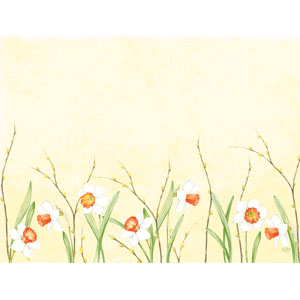 [16648] Dækkeserviet, papir, 30x40cm, Daffodil Joy, Duni, (1000 stk.)